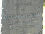 image of grave number 256036